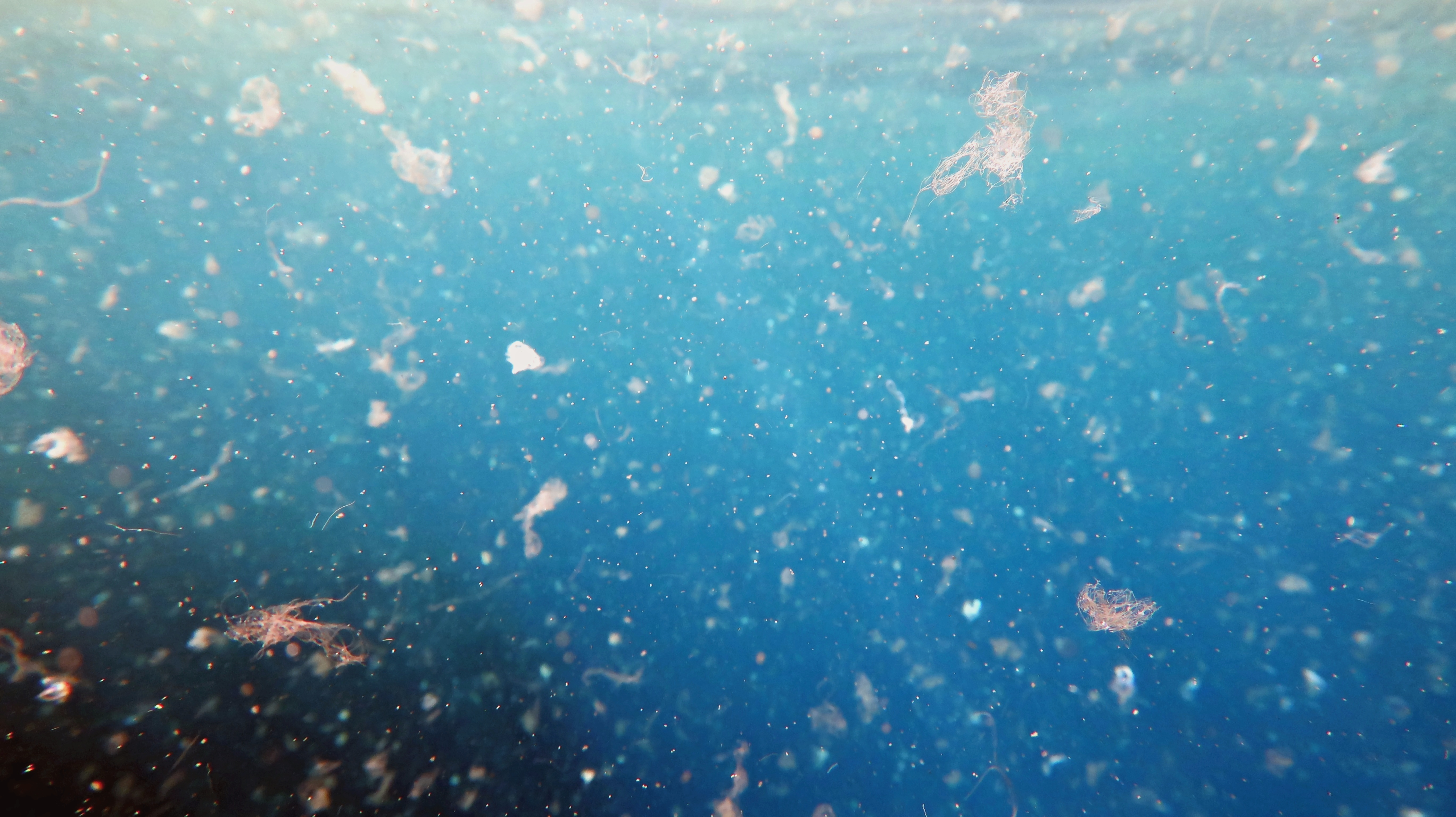 Microplastics, macro-problem