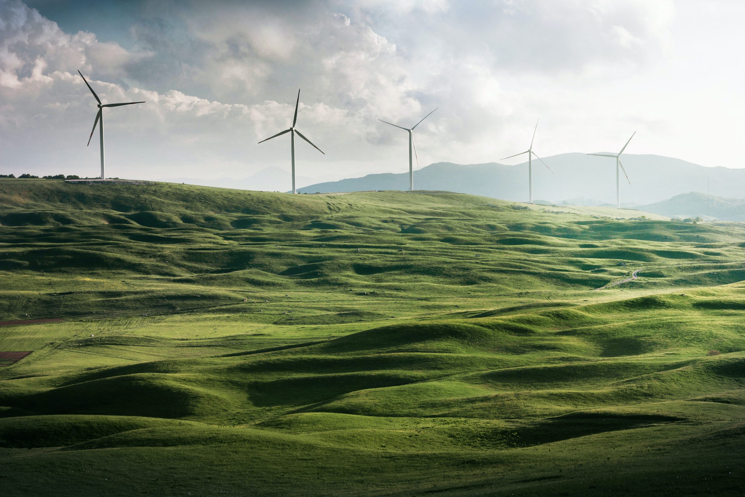 Renewable energy: leading an industry-wide transformation