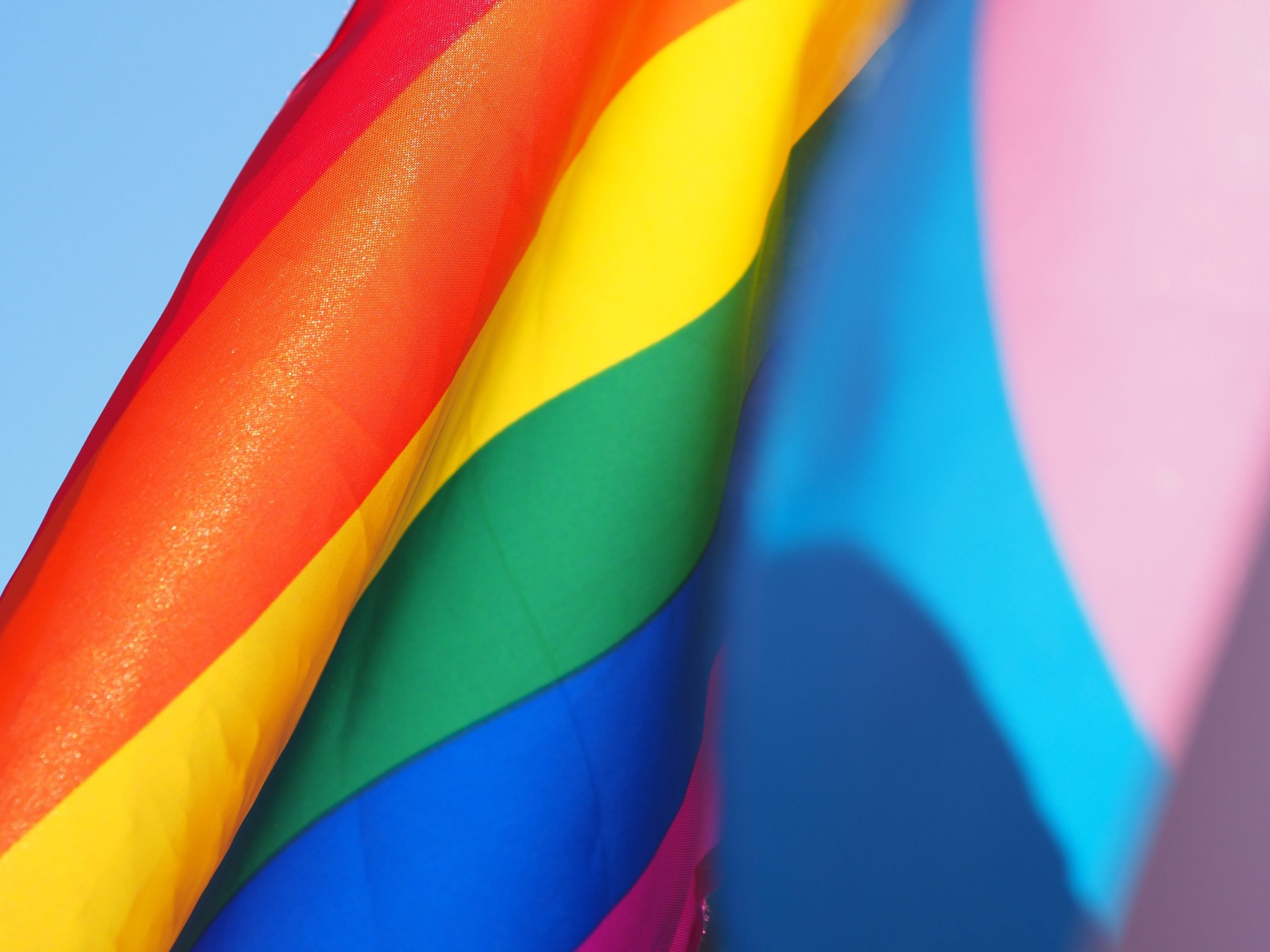 Eco-pride: How to celebrate Pride 2022 sustainably