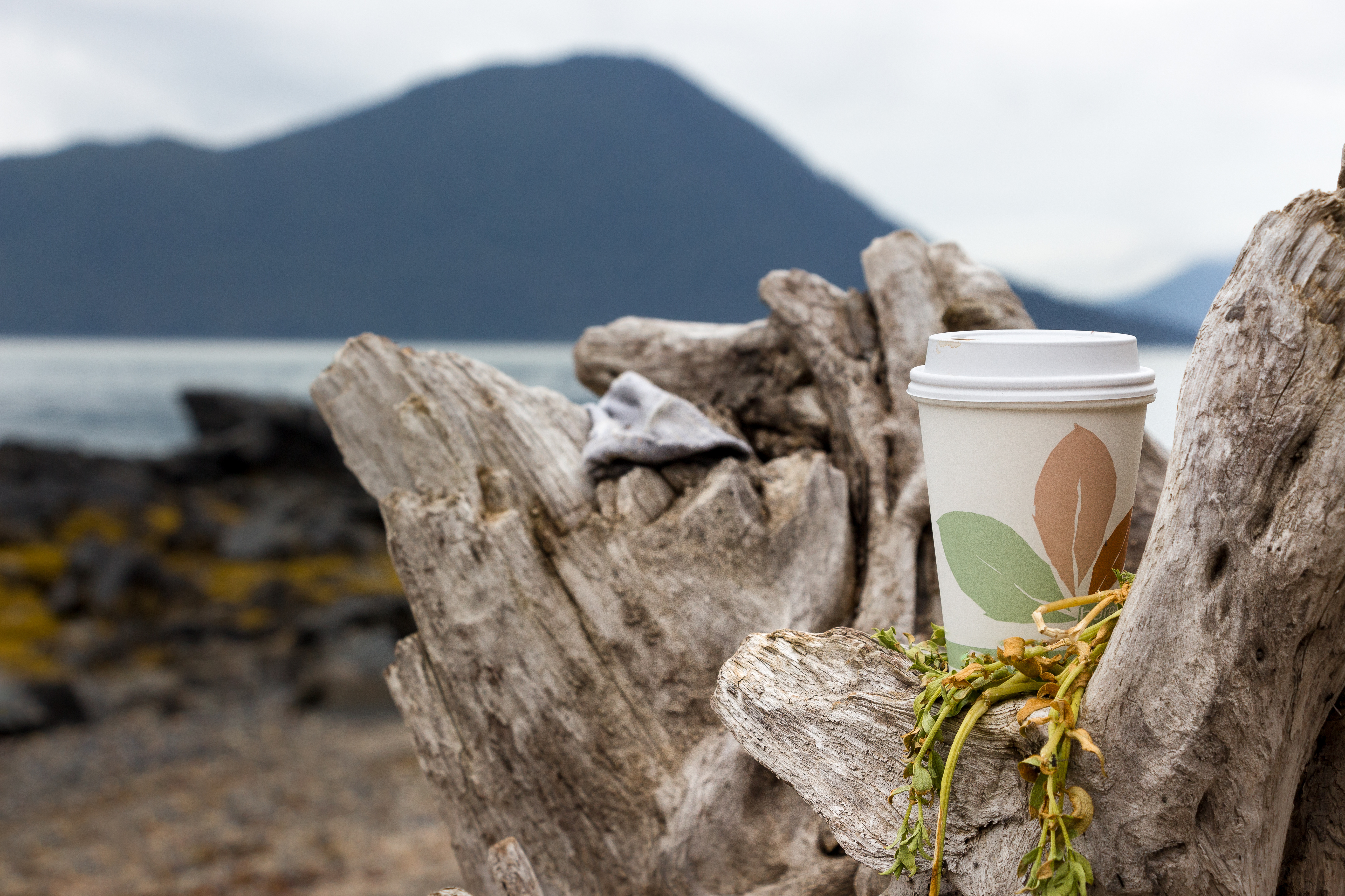 Reusable coffee cups: Too little, too latte?