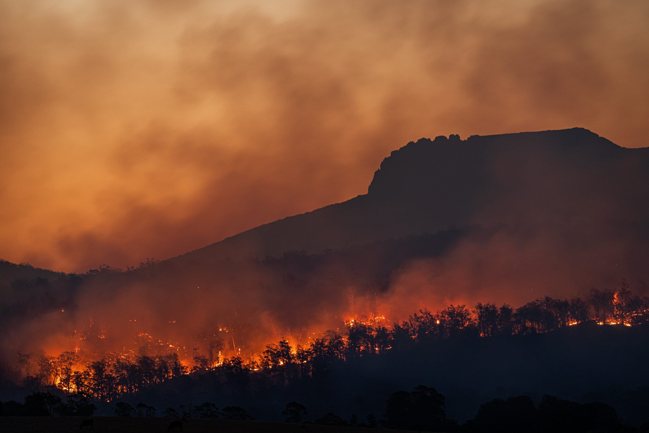 Climate change is behind recent weather catastrophes – but it’s not too late