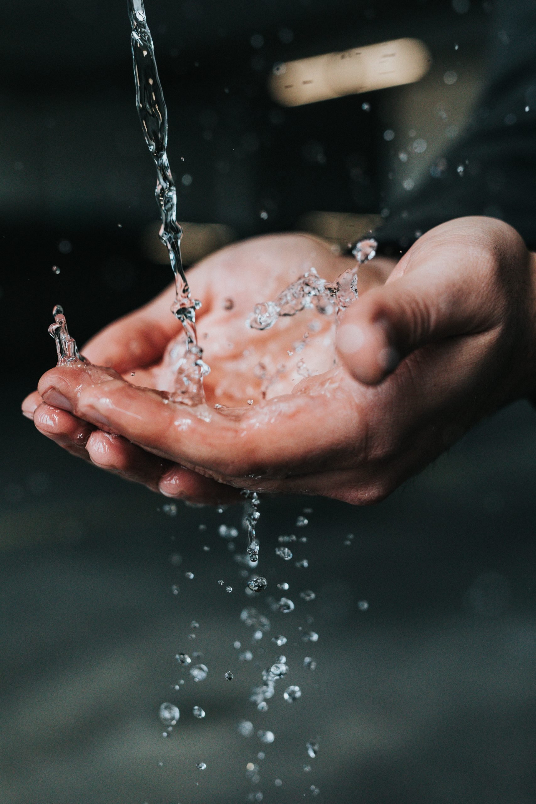 World Water Day – how can reducing your water usage benefit you and the Earth?